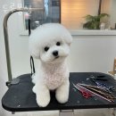 두루몽실 이미지