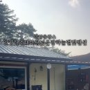 양양하조대마당넓은밤하늘별빛펜션 이미지