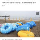 "여기서 치킨 먹지 마"평상갑질 터진 제주 해수욕장 이미지