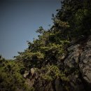 유수정행정사사무소 이미지