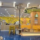 아이캣 | 고양이 카페 "아이캣유" 후기