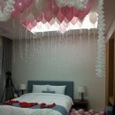 경포파인 이미지