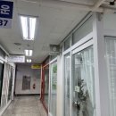 안락동 속눈썹연장 블랙컬러 CC컬 르뮤즈살롱 후기