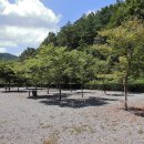 아빠의나무 야영장 이미지