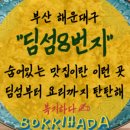 복기애견 이미지