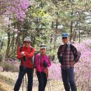 497 | [부산] 승학산(497m) 산행후기---2025년 4월 9일(수)