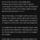 현재 블라인드에서 난리난 제주항공 응대 논란 이미지