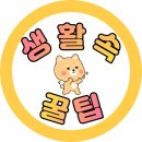 마포-현장-마포-1507 | 2024년 11월 25일 KBS &#39;2TV 저녁 생생정보&#39; 방송 소개