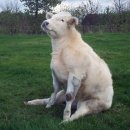 소모아농장 이미지