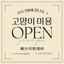 에브리 멍데이 이미지