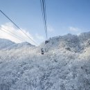 "눈 조금만 더 쌓이면 당장 가야할 곳"... 이번 겨울 꼭 가볼만한 케이블카 여행지 이미지