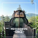 제암산자연휴양림 더늠길 | 제암산 자연휴양림 더늠길 [보성 여행] 생태탐방로 '숲을 진심으로 느끼다' 다시 걷고 싶은 숲길