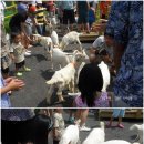 우리목장 이미지