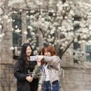 그대는꽃보다 이미지
