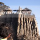 과천시청 이미지