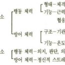 용인JG복싱PT