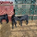 거산농장 이미지