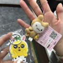 땅콩 게임장 이미지