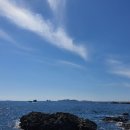 행운목장 이미지