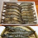 블랙타이거