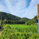 구산리 | 울진 문화재 여행 구산리 삼층석탑