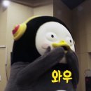 834쭈꾸미 네이버블로그