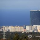 제주 최고층 드림타워 사우나실 불…관광객 대피 소동 이미지