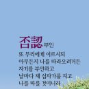 성구 Daum카페