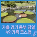 양서고등학교 | 가을 경기 동부 당일 4인가족 코스맵