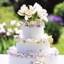 임피초등학교 이미지