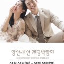 프라자웨드 이미지