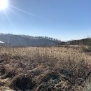 양평읍사무소 이미지