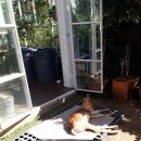 부영목장 이미지