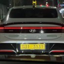 진달래목장 | 더 바쁜 백수의 삶💦