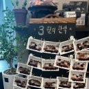 다래울한의원 이미지