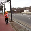 수원팔색길 수원둘레길 이미지