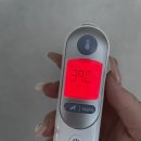 이유없는 고열/20개월 아기 고열/20개월아기 입원/전주 에코소아청소년과 입원후기
