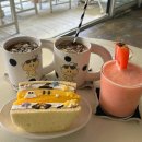 세븐일레븐 대전탄방남선점 | 대전 탄방동 카페 핫플 꿈돌이산도 원잇투메종탄방