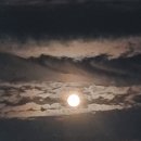 옥상슈퍼 - 밀양시 삼문중앙로4길 18 | 옥상슈퍼