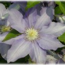 일산3리 이미지