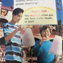 1-3 Your senses 이미지