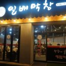 일배막창