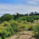 황산면 옥동리 ~ 황산면 옥동리 이미지