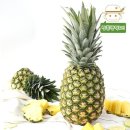 파인애플 이미지