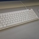 개이쁘다 이미지