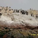 새들의천국 이미지