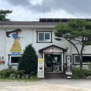 장흥생활체육공원 축구장 이미지