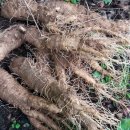 지만농장 이미지