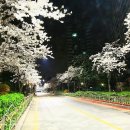 가재울로 이미지