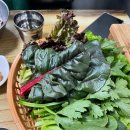 방산종합시장 | [주교동] 방산시장 김치찌개 “은주정” 내돈내산 점심 후기